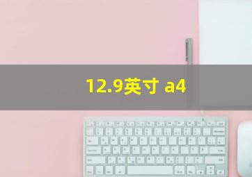 12.9英寸 a4